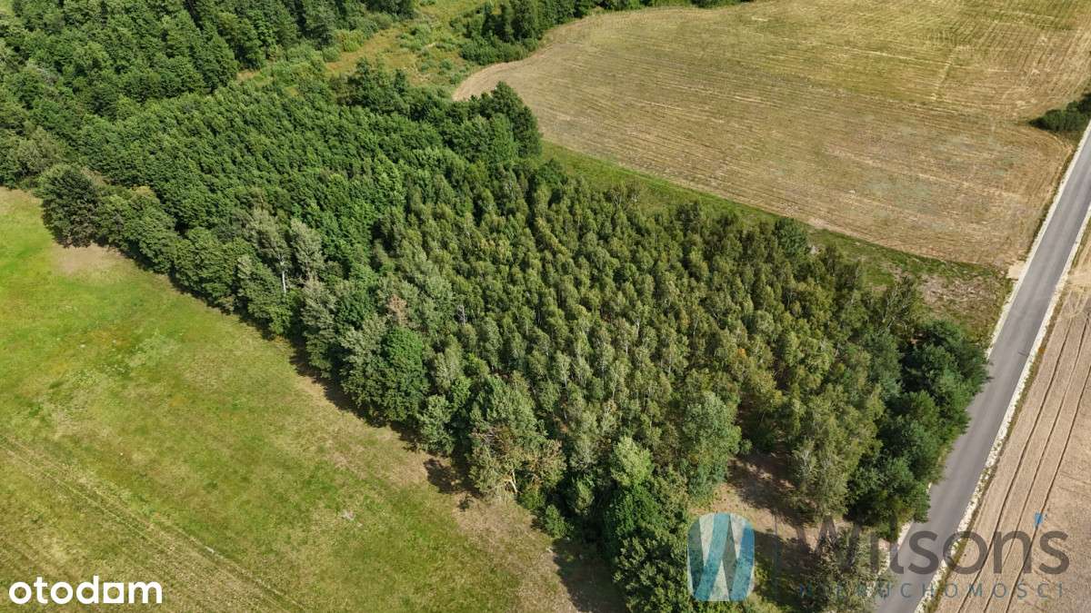 Zamieszkaj lub Inwestuj! Działka 7100 m² - Pełny obrazek: 5/14