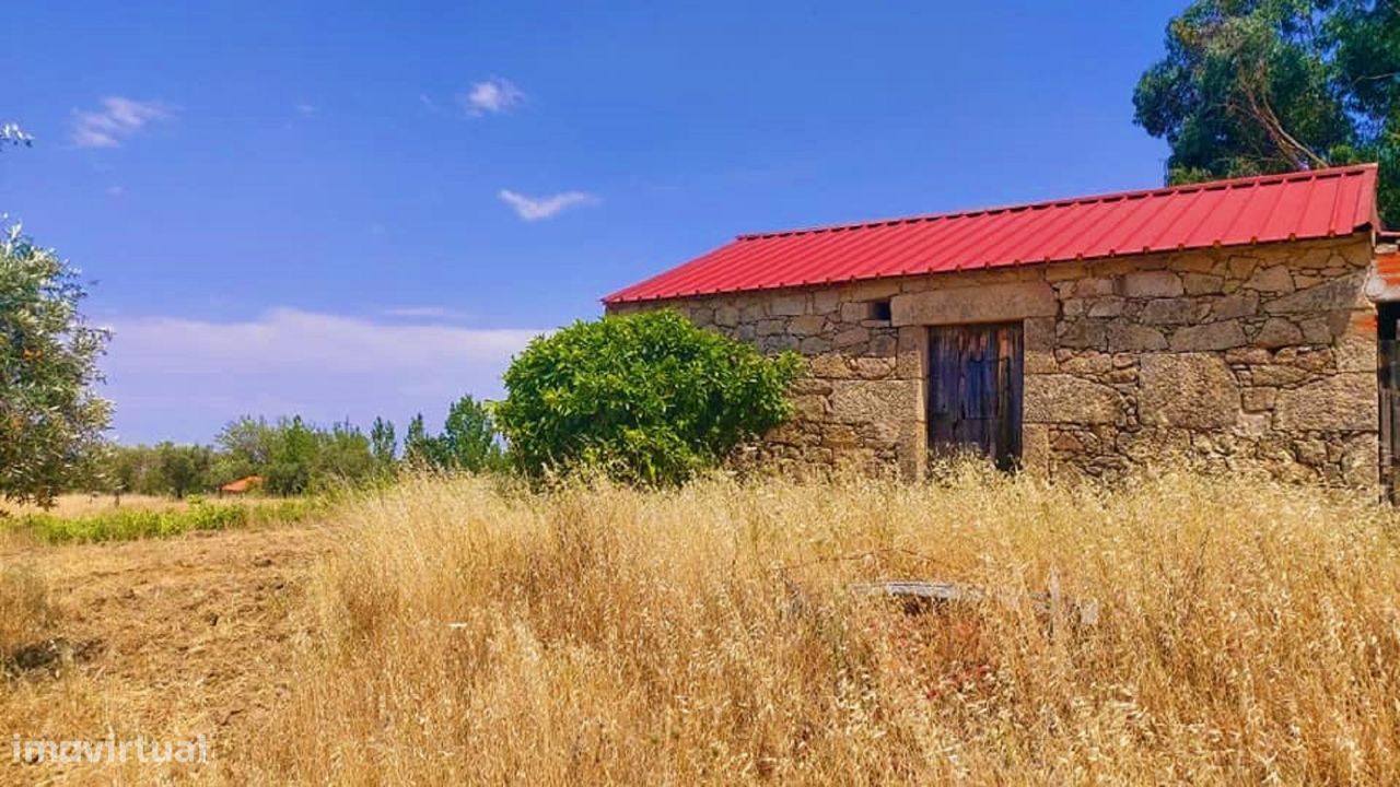 Quinta com casa no Ladoeiro - Idanha - a -Nova