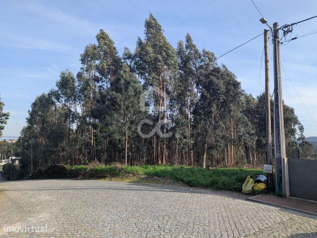 TERRENO RÚSTICO COM CAPACIDADE CONSTRUTIVA | 10.290 m² | LOUSADO Vi...-7