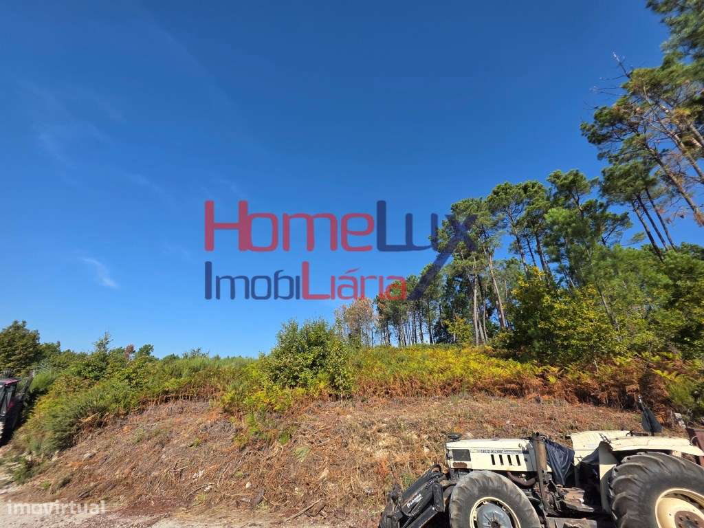 Terreno para venda em Castro Daire - Grande imagem: 4/9