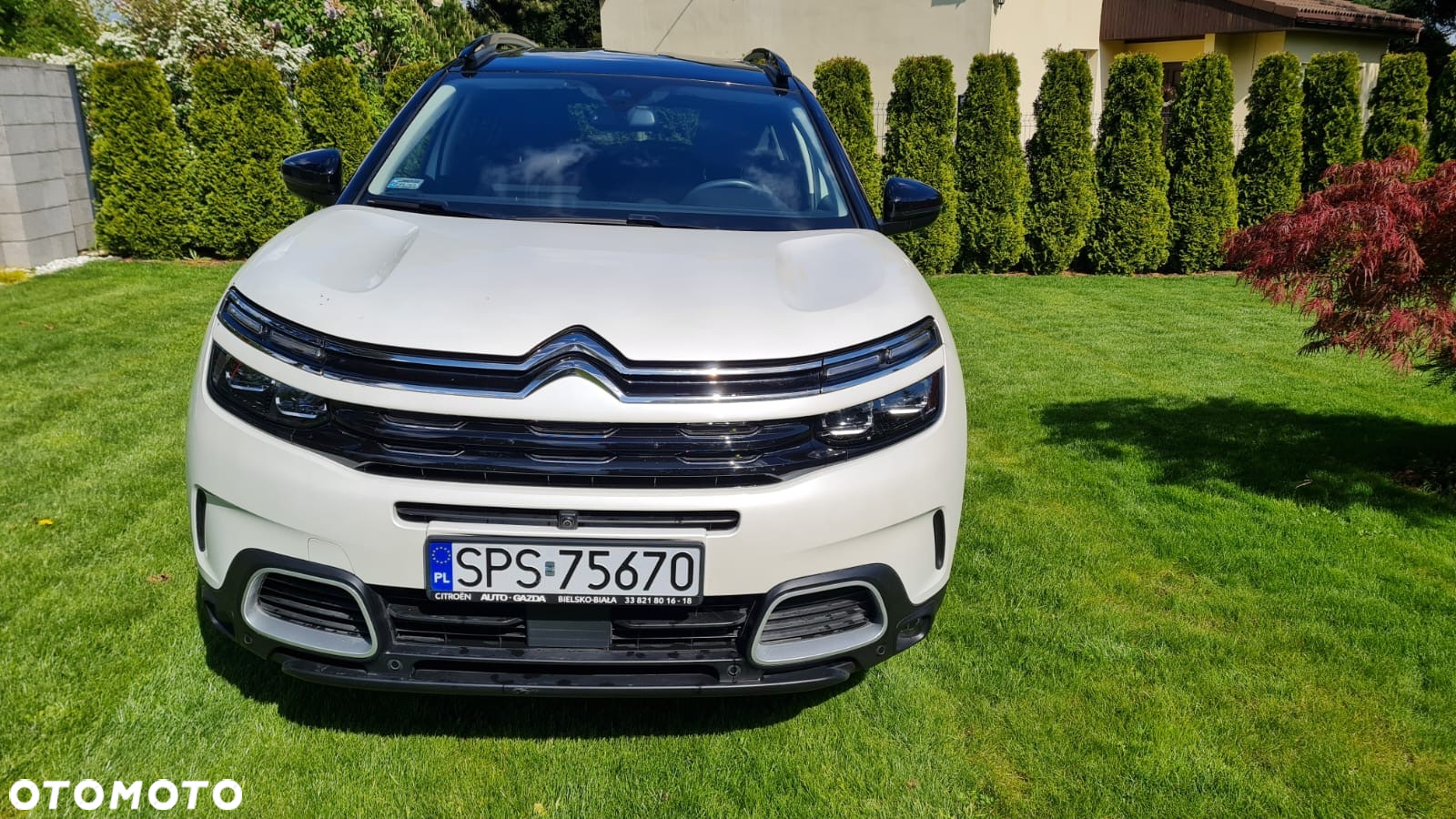 Citroën C5 Aircross 2.0 BlueHDi Shine EAT8 - 4