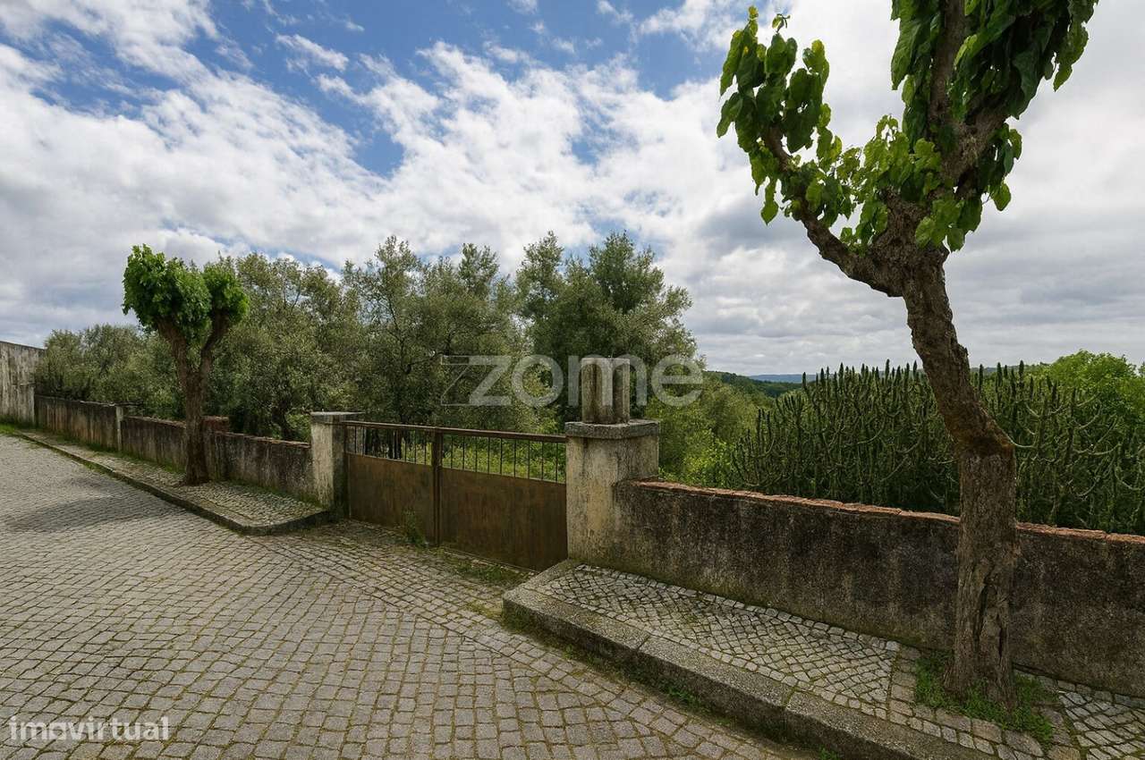 Terreno Urbanizável › Mação › Santarém - Grande imagem: 5/9