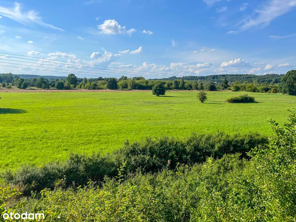 Działka budowalna z WZ - 1,05ha - Michałów - Pełny obrazek: 5/9