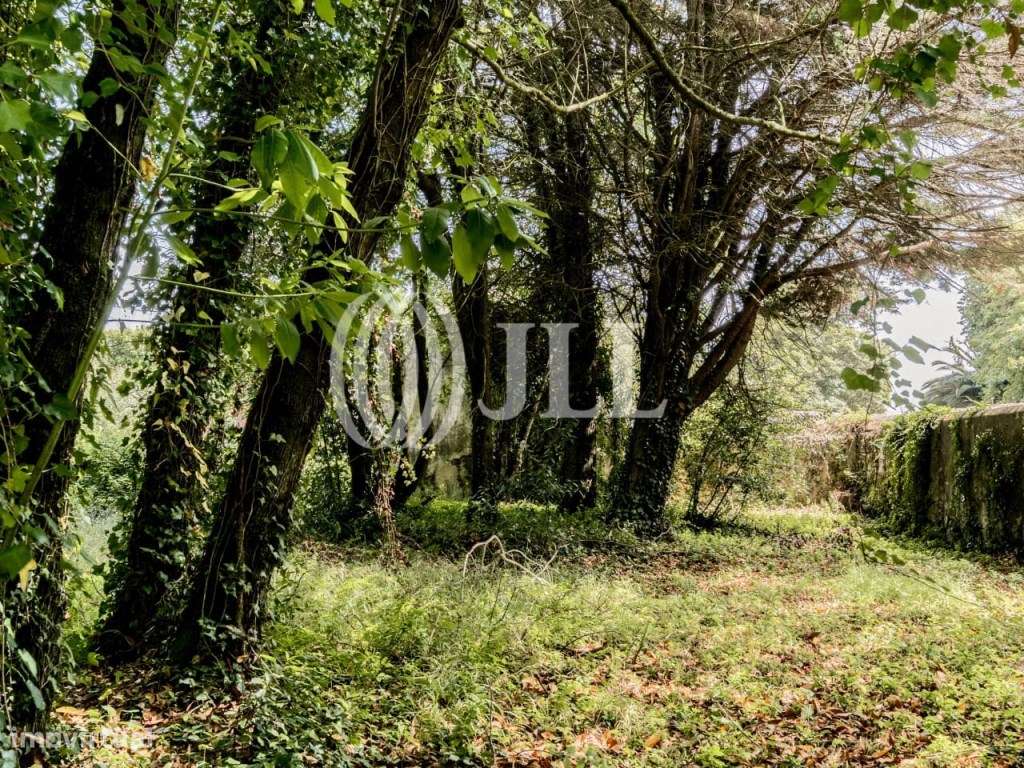 Terreno com projeto para moradia T5, S.Pedro de Sintra - Grande imagem: 4/32