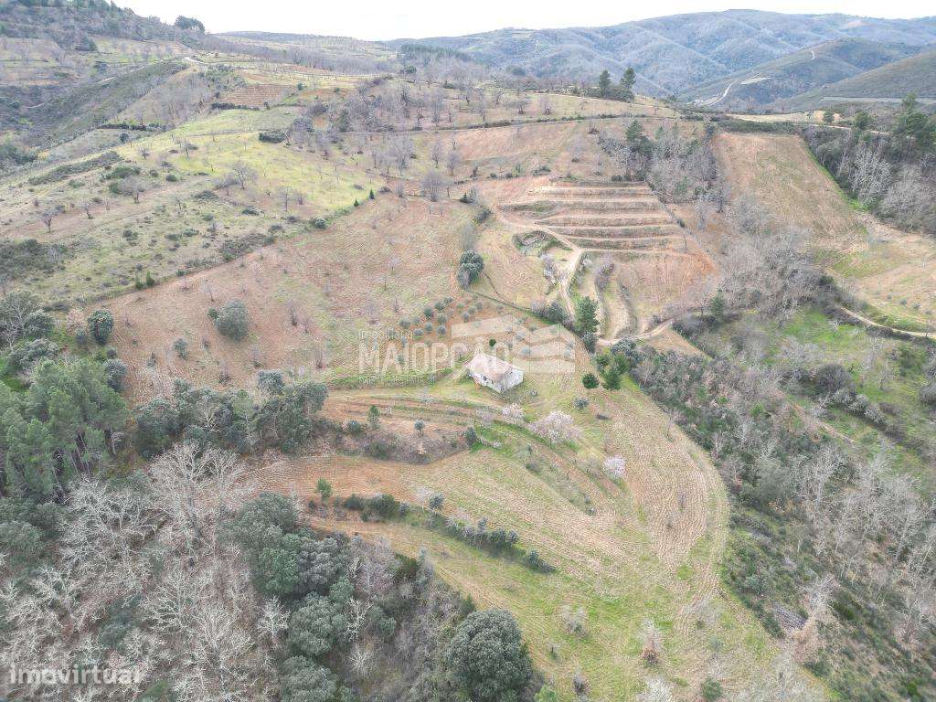 TERRENO RÚSTICO 2 HECTARES - Grande imagem: 5/8