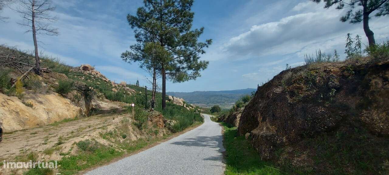 Venda Judicial Casa em ruínas V1 Corujeira Gonçalo Guarda - Grande imagem: 3/33