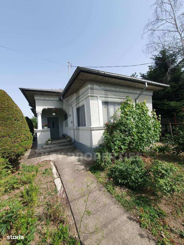Samurcasi, str. Guliei, casa parter cu teren - 2431 mp-0