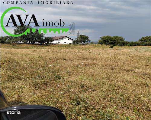 Teren 1800mp Gheraiesti - Imagine principală: 3/3