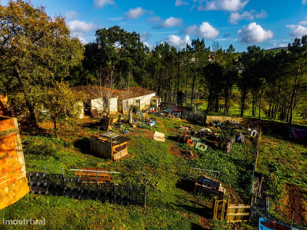 Moradia em ruínas num terreno de 10.699m2-7