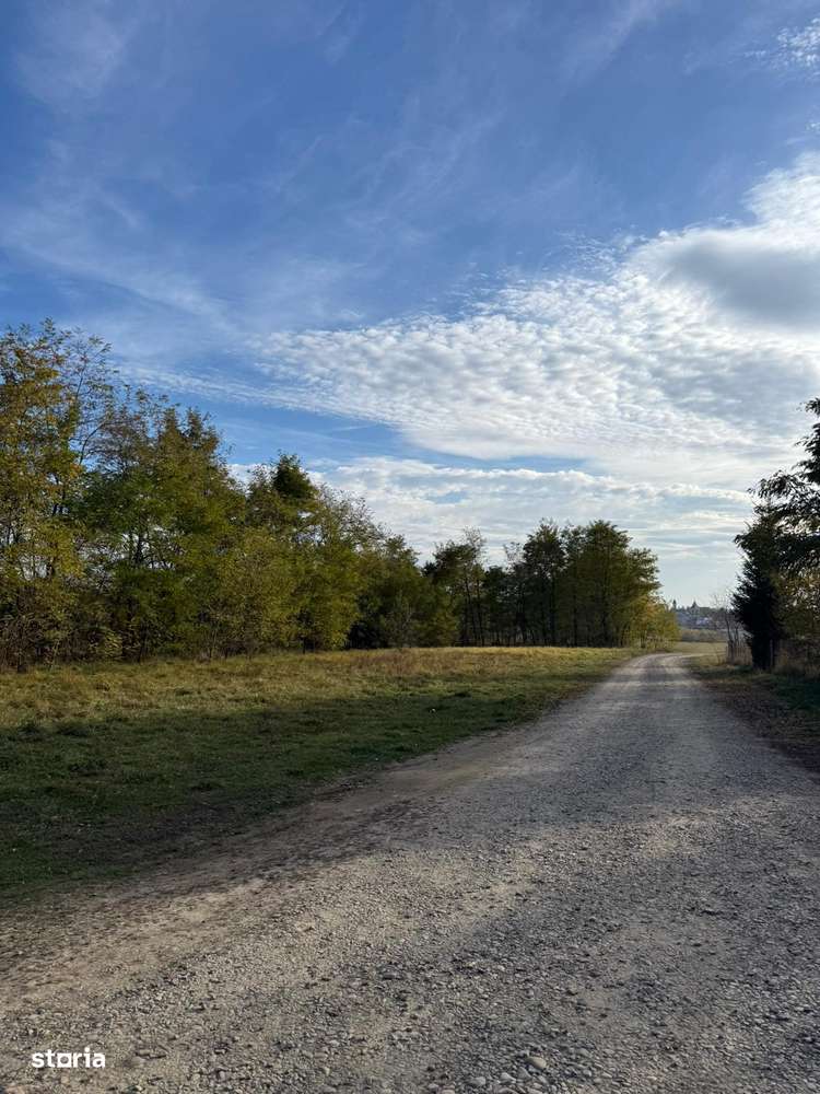 M.Dragomirna-Teren 2002mp, curent electric,pret 950E/ar. - Imagine principală: 4/7