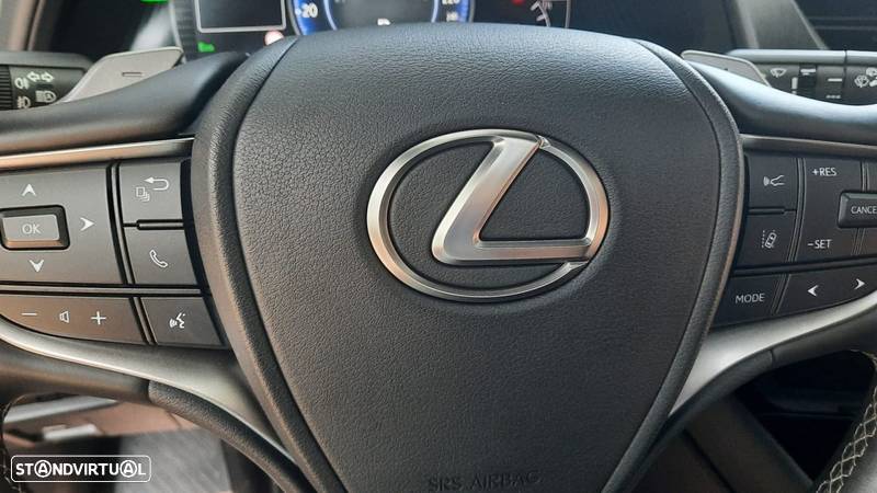 Lexus UX 300e Luxury+TAE+JLL18 - 15