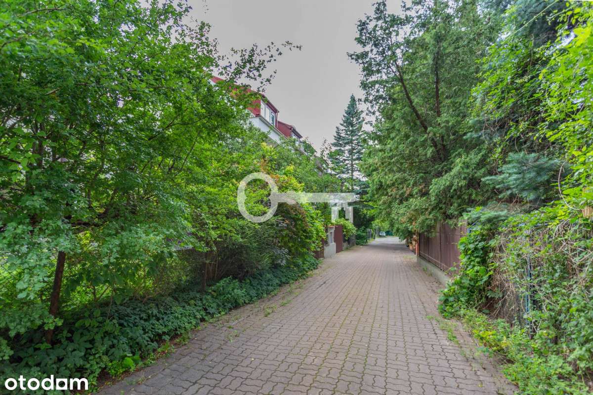 Dobry Punkt Komunikacyjny | Do Remontu - Pełny obrazek: 5/6