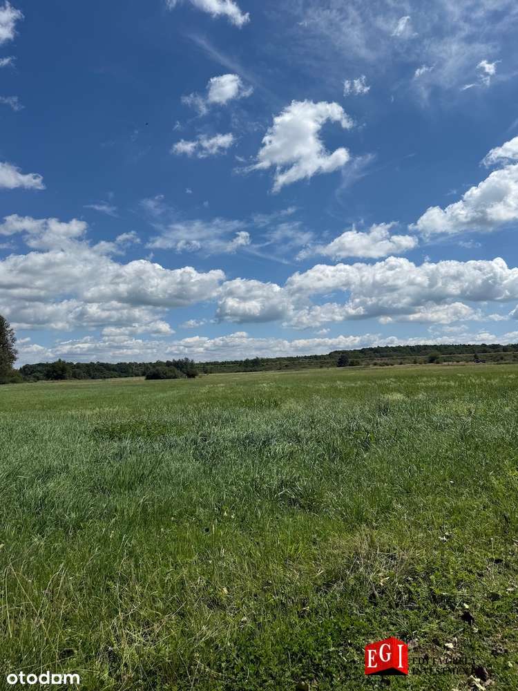 Działka_Chruszczobród_Zieleń nieurządzona-1