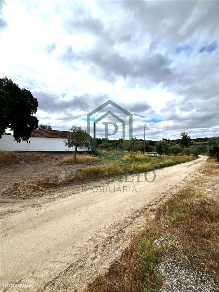 Quinta >=T10 Venda em Cortiçadas de Lavre e Lavre,Montemor-o-Novo-41