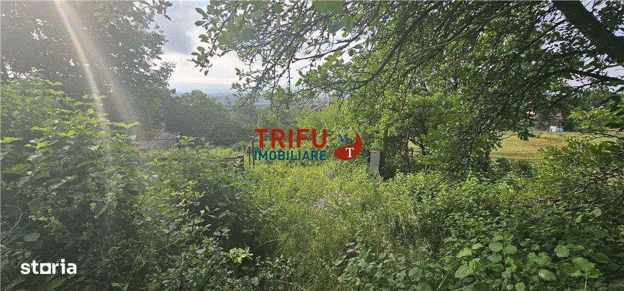 Teren intravilan construibil 766mp Cetate zona Schit - Imagine principală: 2/2