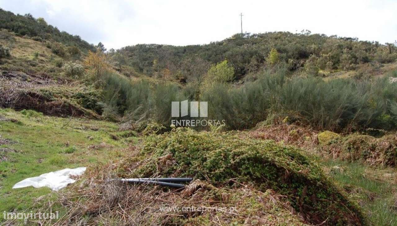 Venda Terreno, Carneiro, Amarante - Grande imagem: 3/9