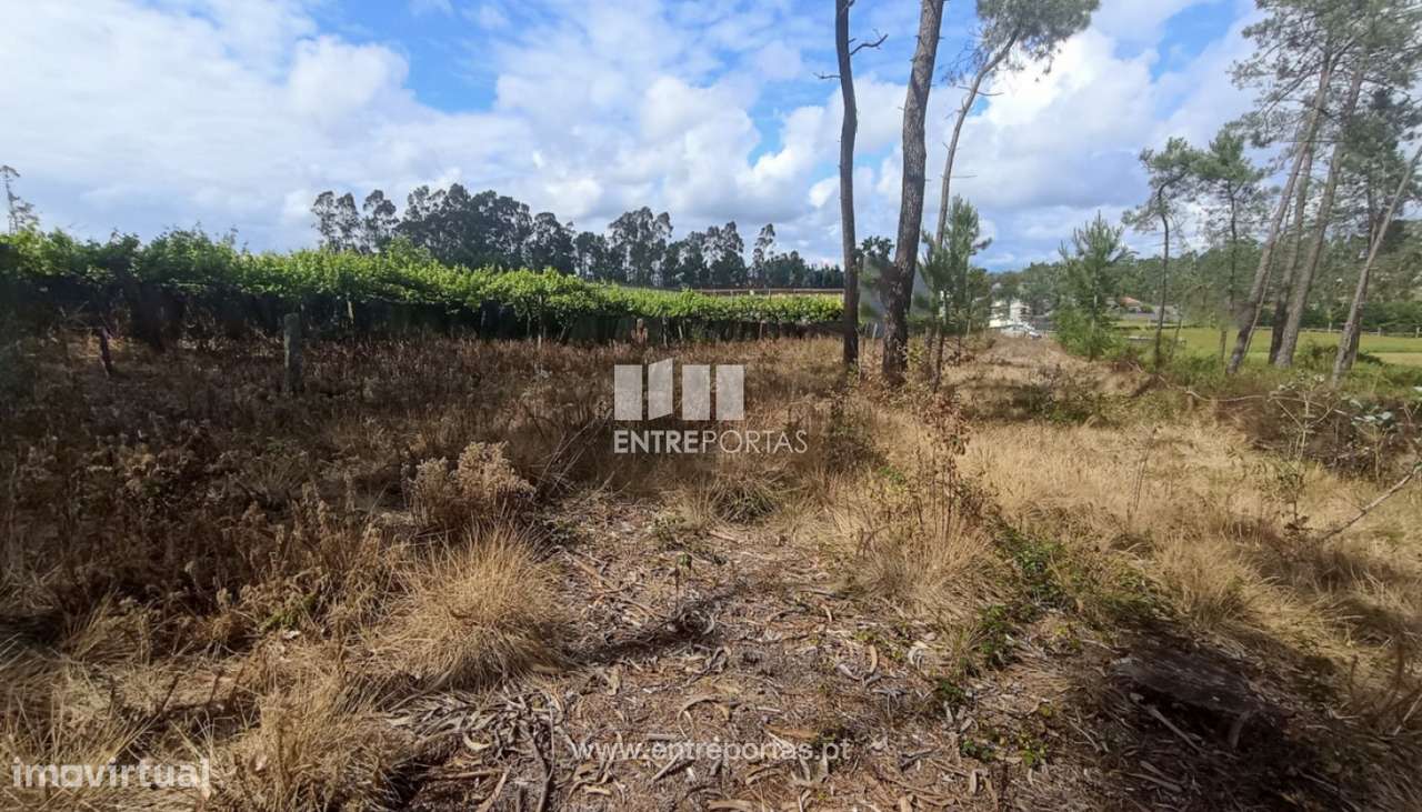 Venda de Terreno com 1600 m2, para construção, Cristelo, Barcelos - Grande imagem: 5/11