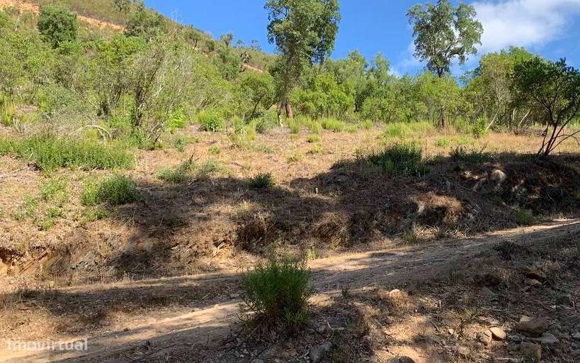 Quintinha - Grande imagem: 5/11