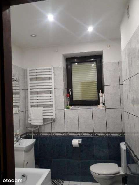 Dom w pobliżu lasu-11