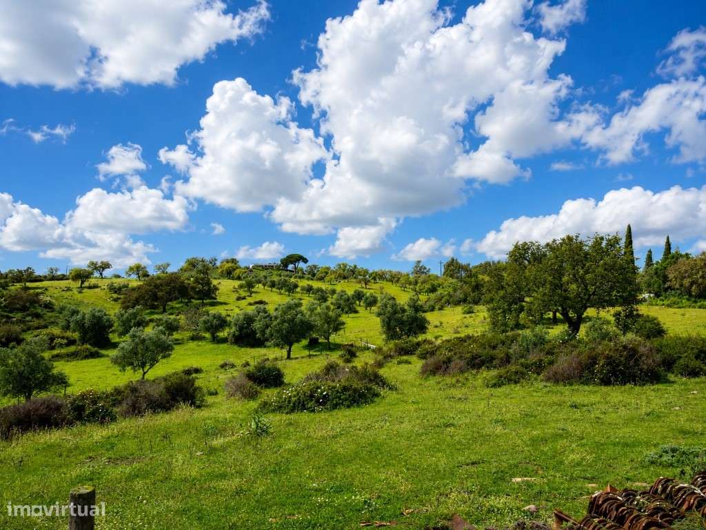 Terreno de 12ha com projeto aprovado em Grândola-21