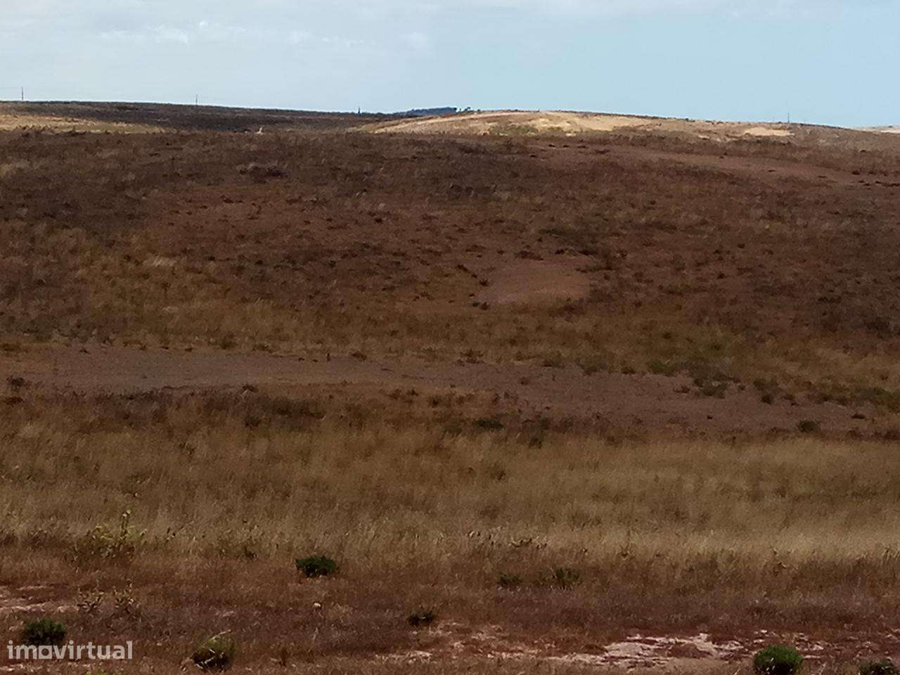 Terreno Rústico Currais Velhos - Vila do Bispo _ 664Lagos V13-5