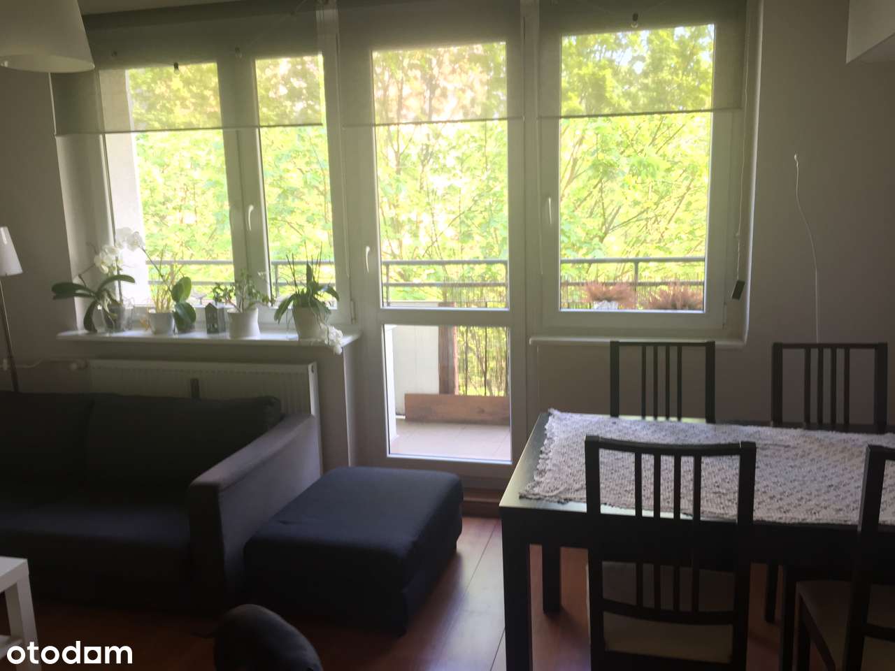 Przytulne mieszkanie w pięknej okolicy - Pełny obrazek: 2/14