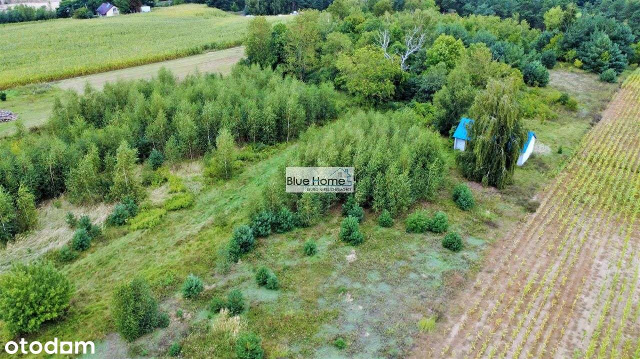 Dom Na Sprzedaż W Pięknej Okolicy - Ciechocin - Pełny obrazek: 5/15