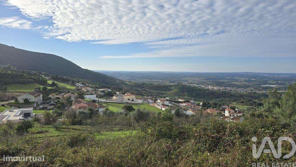 Terreno para construção em Lamas e Cercal - Grande imagem: 5/39