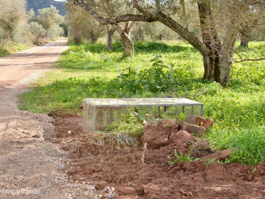 Terreno Rústico em Paderne, Albufeira - Grande imagem: 3/3