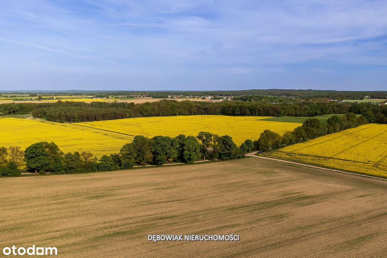 II etap sprzedaży / Atrakcyjne nowe osiedle w Gronówku / blisko Leszna-10
