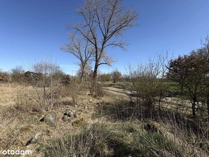 Duża działka - Parlino - Pełny obrazek: 5/8