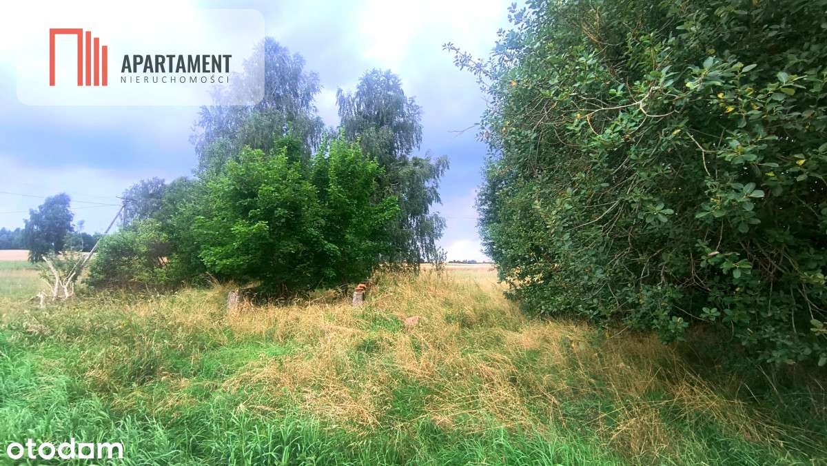 Tylko u nas ! Działka siedliskowa . - Pełny obrazek: 4/20