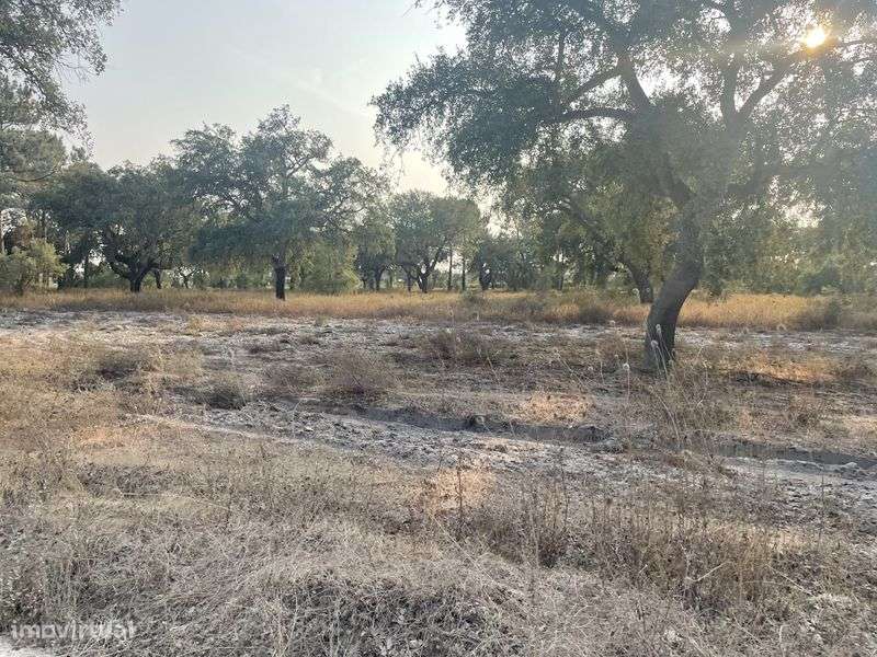 Quinta com 60000m2 - Grande imagem: 3/8