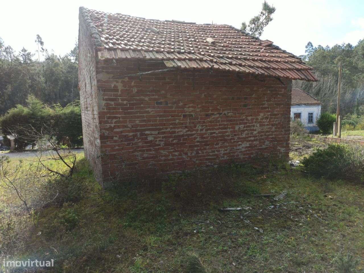 Casa e eira para reconstrução com terreno florestal de 6000m² - Grande imagem: 4/8