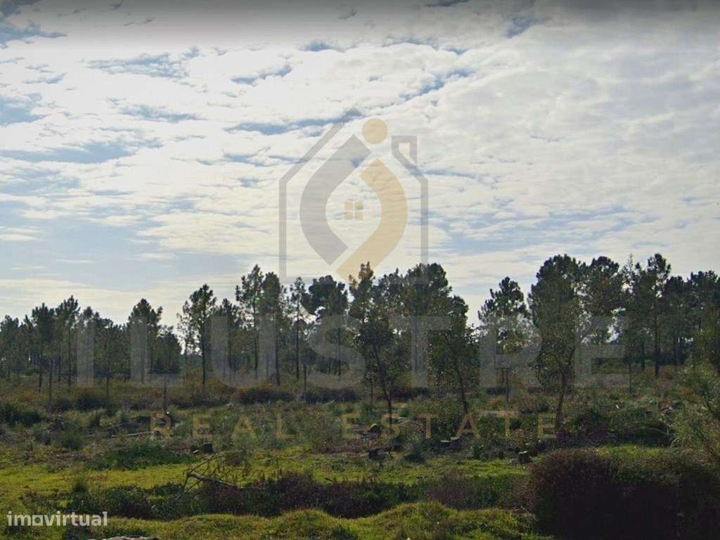 Moradia T4 geminada, com piscina, na localidade de Pinhal Conde da ...-11