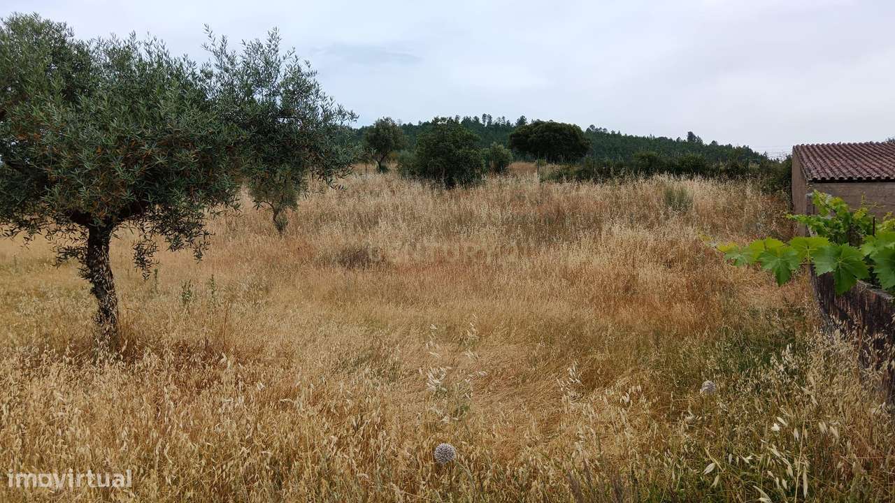 Terreno Rústico, 2800m2, Palvarinho - Grande imagem: 5/7