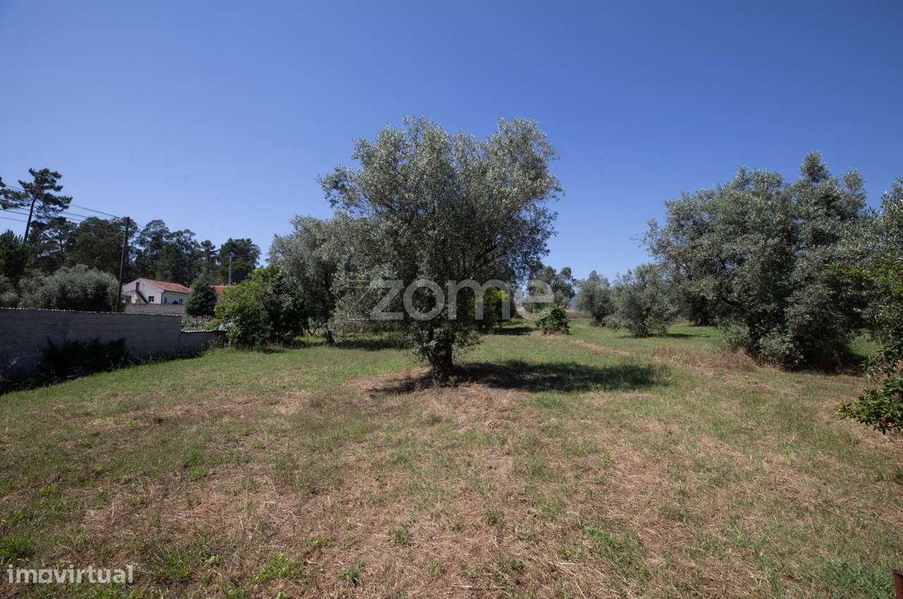 Terreno São Facundo - Coimbra - Grande imagem: 5/17
