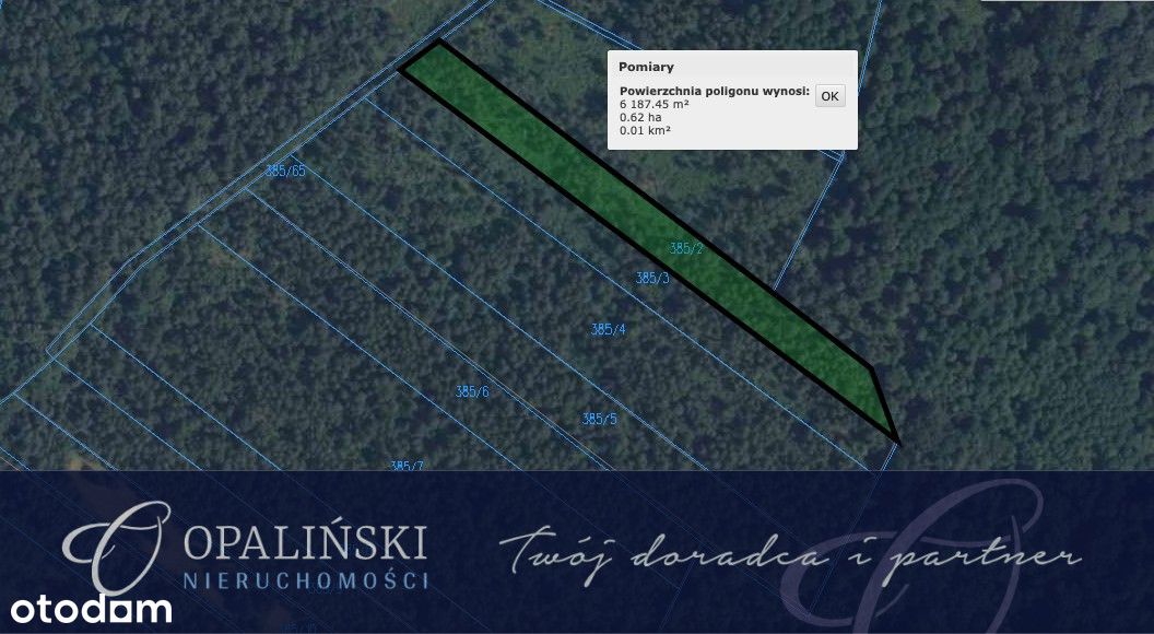 Zalesiona działka 61ar + 79ar I gm. Horyniec-Zdrój - Pełny obrazek: 1/2