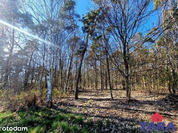 Grunt w Załachowie-11