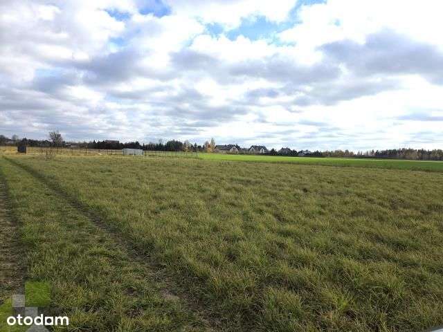 To świetna oferta dla poszukujących ciszy i lasu - Pełny obrazek: 5/9