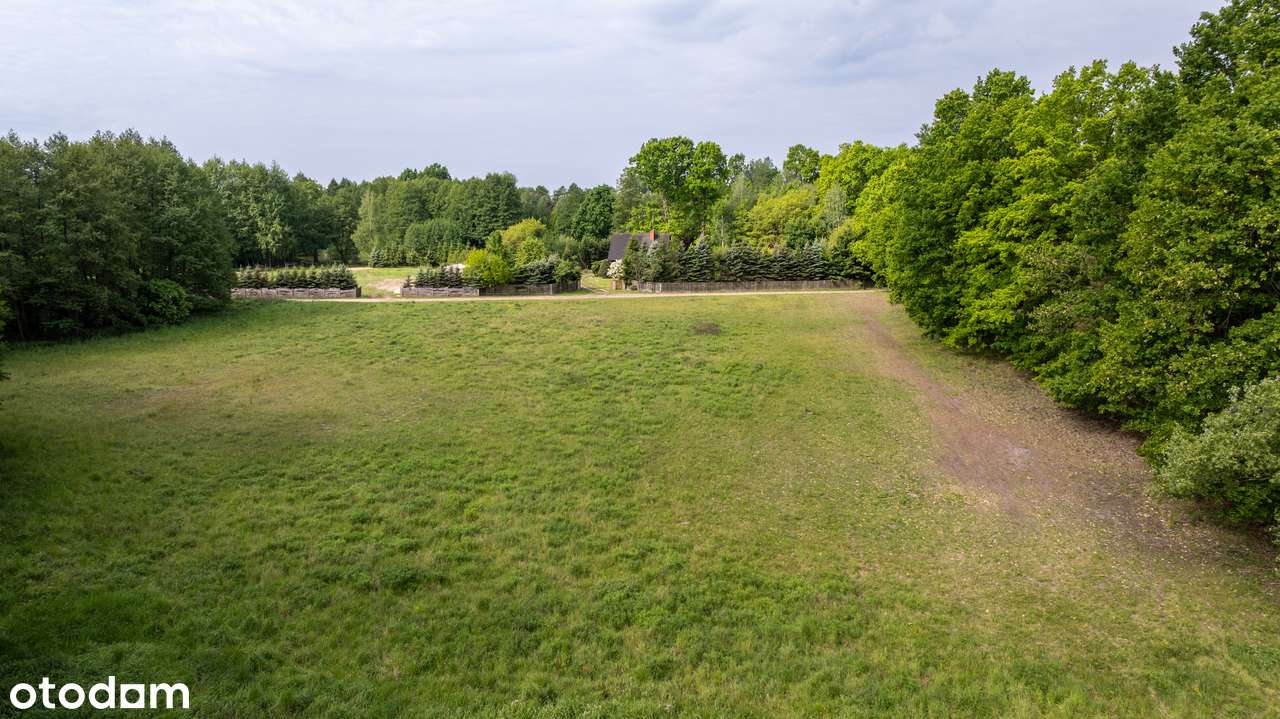Piękne działki budowlane ze starodrzewiem pod Nowym Tomyślem-4
