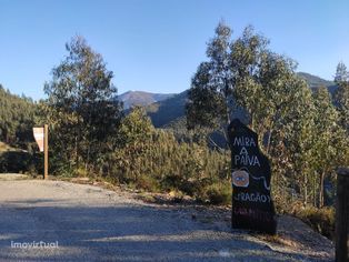 Terreno Florestal na Paradinha Arouca