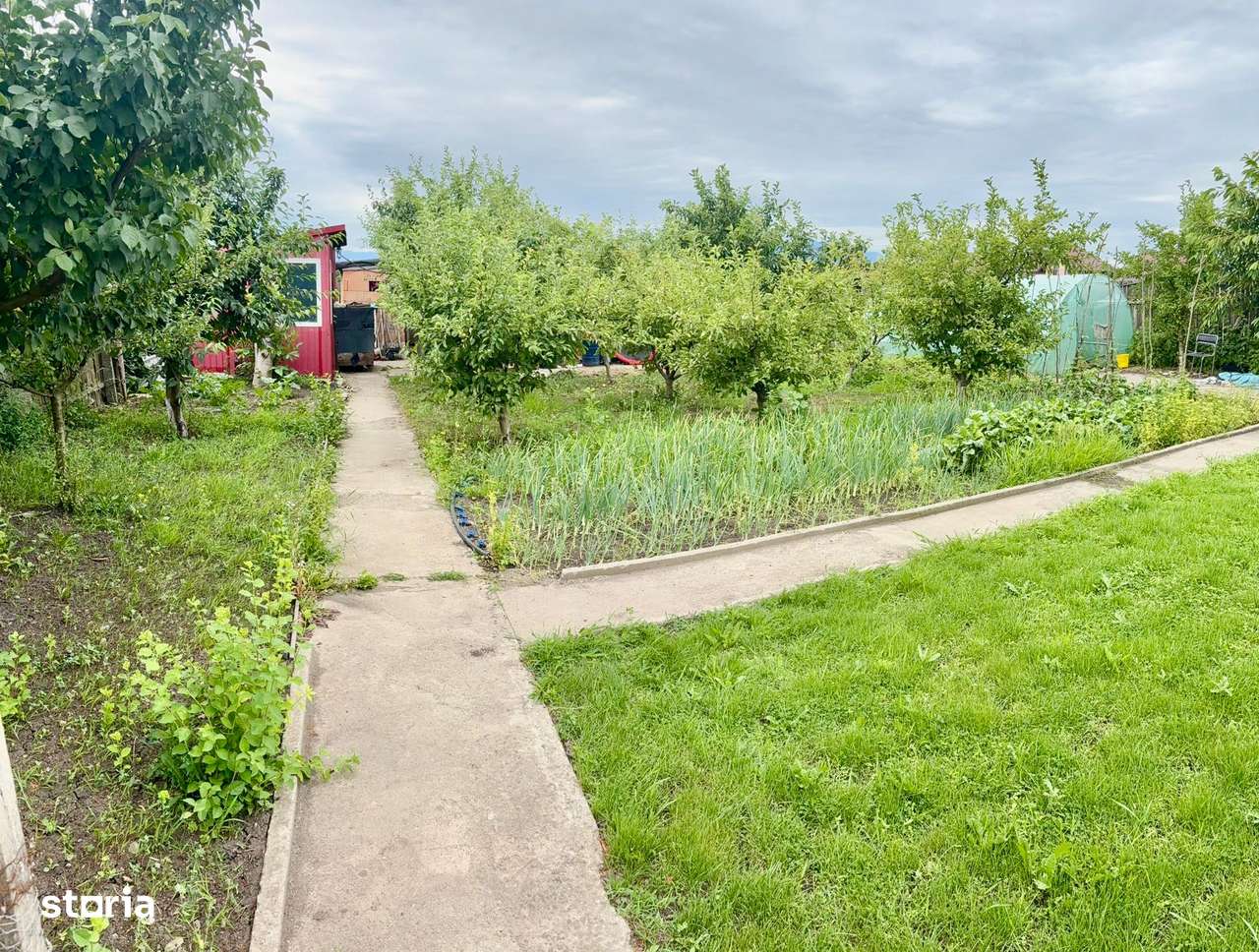 Vila perfectă în Harman - Imagine principală: 5/19