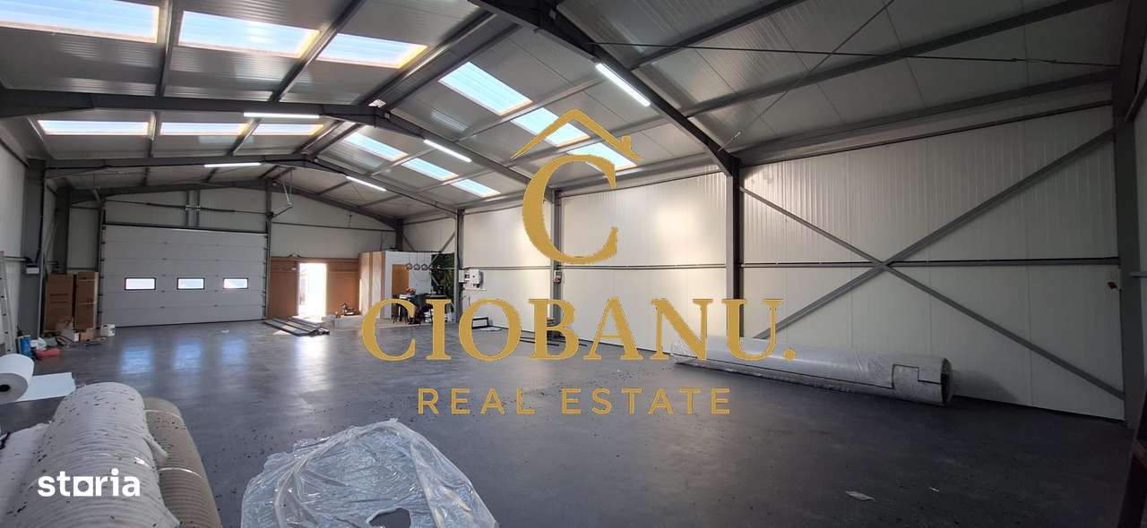 Hala de vanzare in Racarii de Jos-8