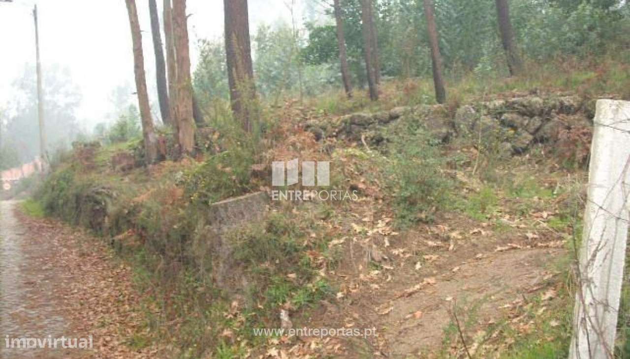 Venda Terreno, Várzea do Douro, Marco de Canaveses - Grande imagem: 4/12