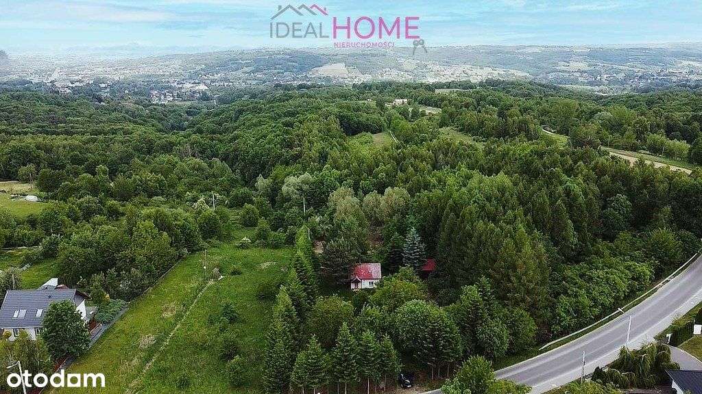 Działka na sprzedaż Tyczyn 50,85A- z małym domkiem - Pełny obrazek: 3/18