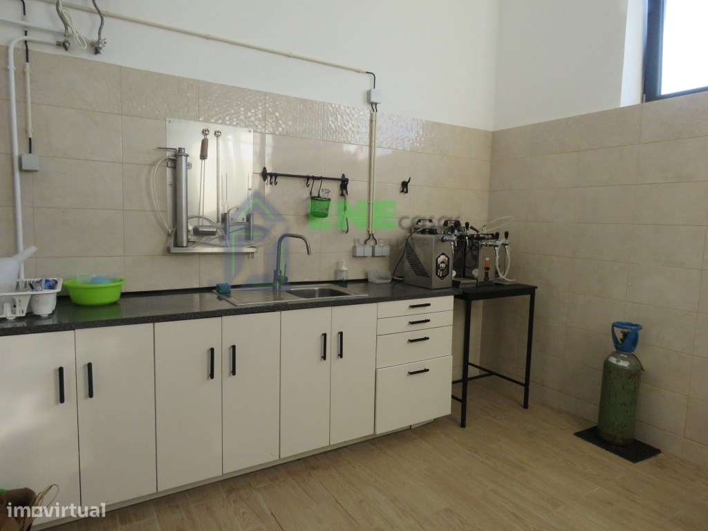 Quinta em São Miguel de Alcainça-24