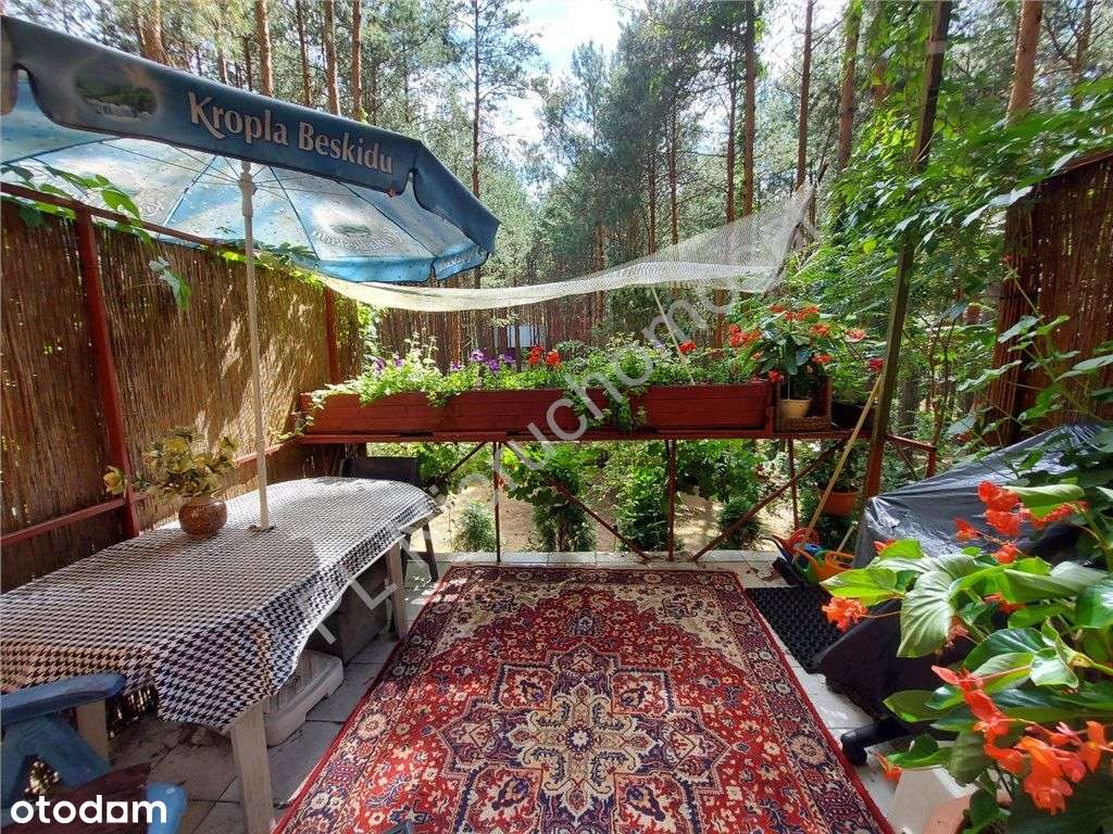 Solidny, drewniany dom z murowana piwnicą - Pełny obrazek: 5/17