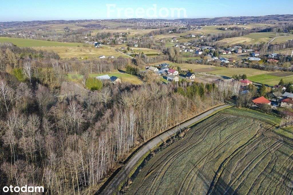 Zadrzewiona działka z widokiem – Błędowa Tycz-5