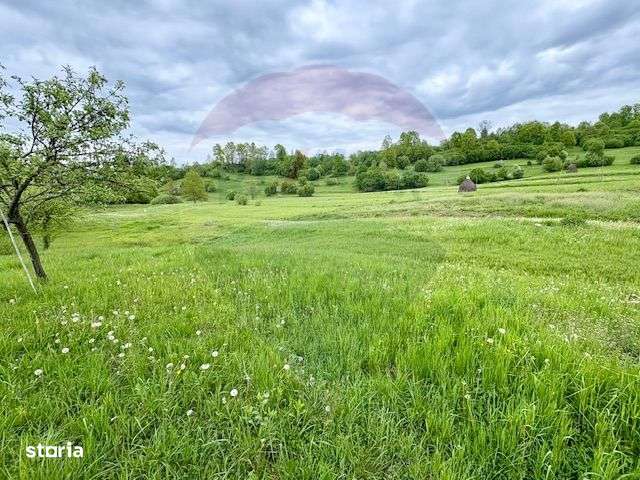 Teren 20,876mp Breb / Drumul Principal - Imagine principală: 5/8